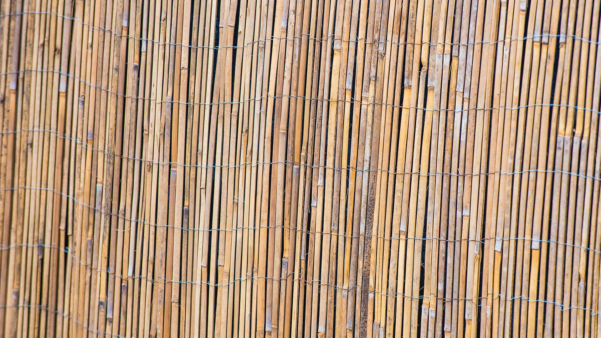 Close up D-COO bamboematten hekwerkbekleding